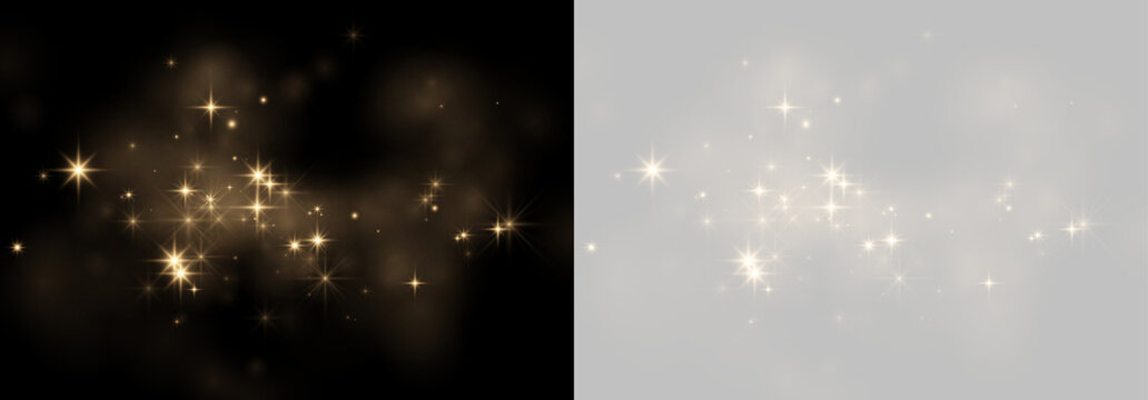 Cluster of soft golden light flares and twinkling starbursts on black and transparent backgrounds on transparent background