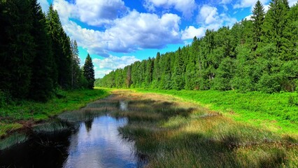 Naklejka premium Riverbank with lush green foliage, clear blue sky, and fluffy white clouds reflecting on water