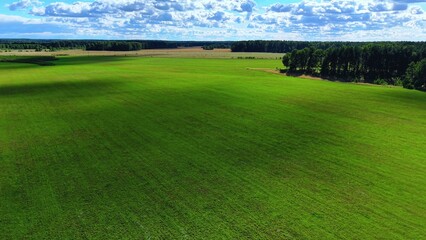 Naklejka premium Vibrant green grass field under a clear sky with scattered clouds and distant trees