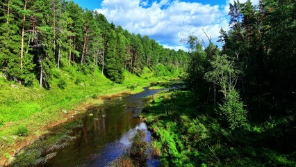 Fototapeta premium Flowing river surrounded by lush green trees in bright daylight with scattered clouds