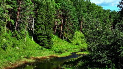 Naklejka premium Lush green forest along the tranquil riverbank with vibrant foliage and clear blue sky