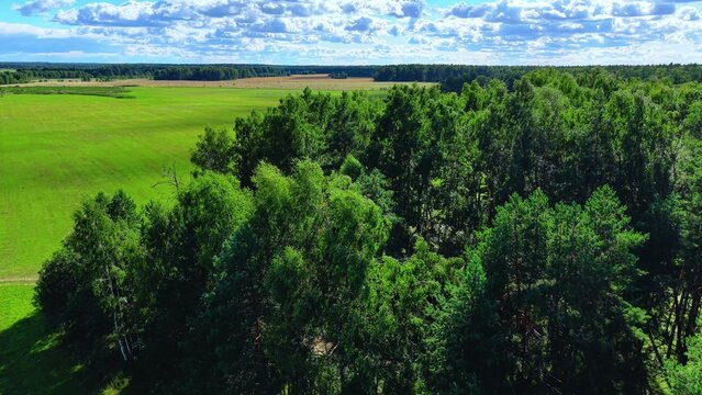 Aerial view of lush green forests surrounding open fields under a bright blue sky