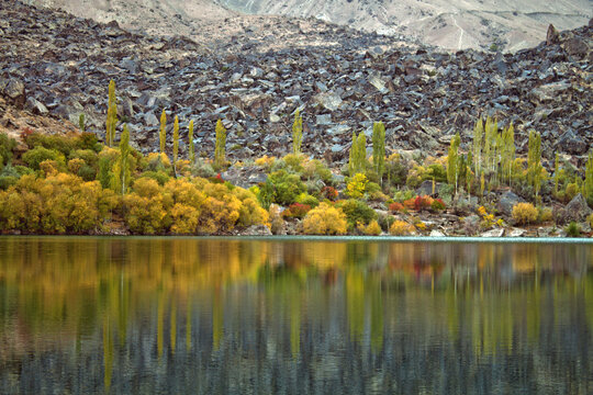 View of Hunza in Autumn with vibrant yellow and orange trees reflecting in the calm lake water against a backdrop of rugged rocky mountains in Hunza Nagar, Gilgit Baltistan, Pakistan.