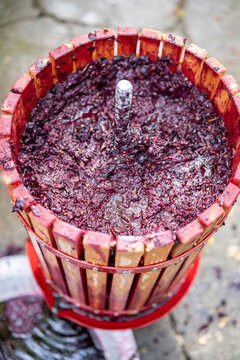 Vintner presents historic wooden wine pressing machinery amidst picturesque outdoor vineyard environment with red wine flowing