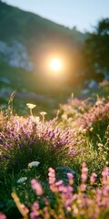 Obraz premium Beautiful Purple Lavender Fields Blooming Under Glowing Sunset Light in a Warm Mountain landscape