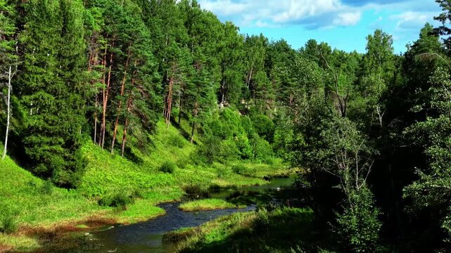 Lush green riverbank surrounded by dense trees under bright blue cloudy sky