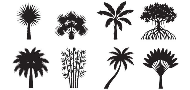 Tropical trees and palm collection black vector silhouette set vector illustrator eps10