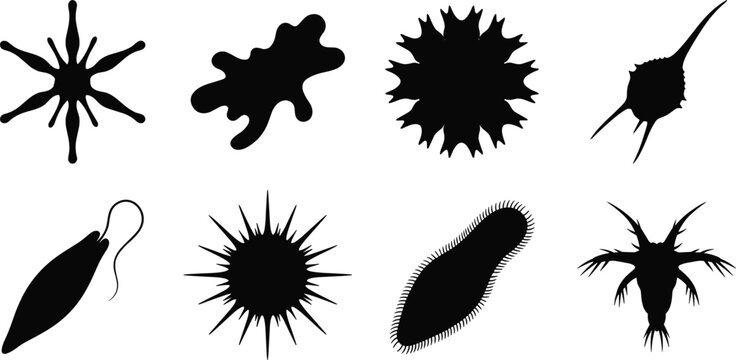 Set of black silhouettes of diverse microorganisms and protozoa for scientific, educational, and medical design projects