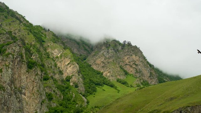 The foreground features steep rocky cliffs interspersed with green vegetation, the middle zone features gentle grassy slopes and a dense grove, and the background features massive ridges, partially ob