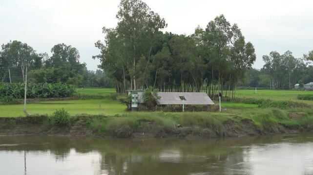 Small scale insect farming facility in a rural Bangladesh landscape near a river bank.
