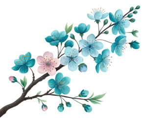Fototapeta premium Delicate cherry blossoms in bloom against a soft gradient with delicate petals and buds Isolated on transparent background