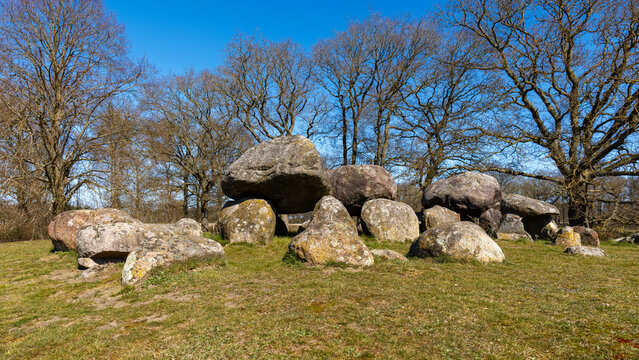 The beautiful mysterious dolmen D15 on a winter's day surrounded by old Oak trees