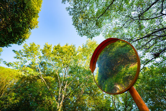 Miroir routier convexe orange au milieu d&rsquo;arbres verts sous un ciel bleu