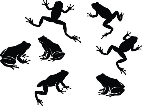 Variety of black frog silhouettes in different poses on a plain white background