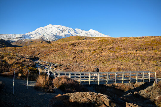 Man walking on the bridge at the Taranaki Falls Track. Snow-capped Mt Ruapehu rising in the distance. Tongariro National Park. New Zealand.