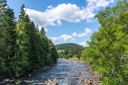 River Dee near Balmoral Castle, Scotland: A shallow rocky river flowing through dense summer forest, with clear water, green trees and distant hills forming a peaceful natural landscape