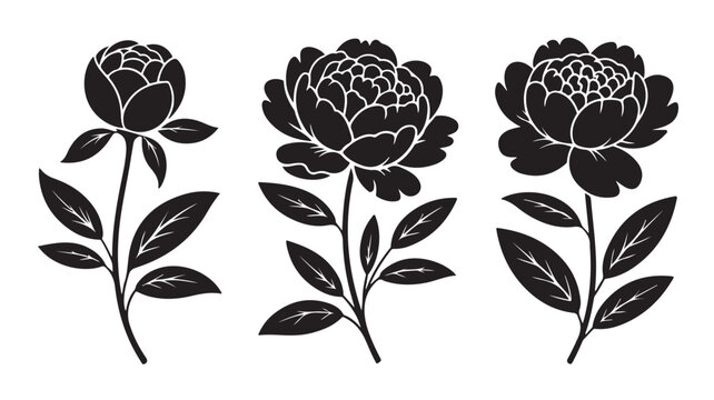 Elegant peony flower vector illustration featuring solid black silhouettes with detailed botanical stems and leaves for artistic graphic design projects