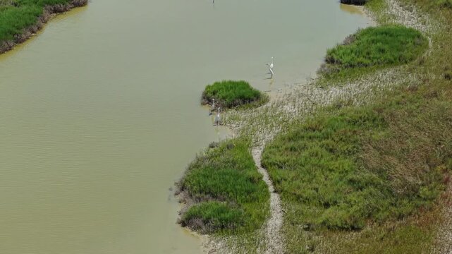 Aerial view of Karavasta Lagoon featuring marshy islands and lush green vegetation in Divjake, Fier County, Albania.