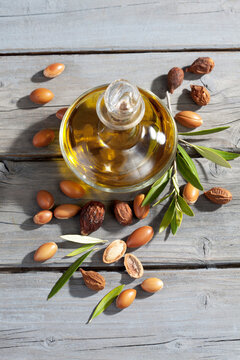 Argan nuts from Argan tree, Argania spinosa, leaves and Argan oil bottle