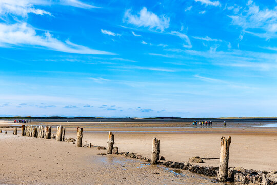 Wooden posts stand on the sandy mudflats of Sylt at low tide