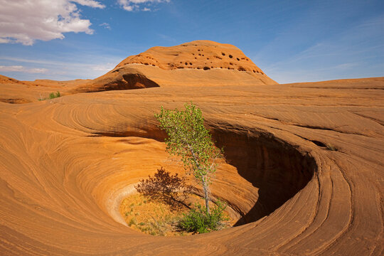 USA, Utah, Grand Staircase Escalante National Monument, Dance Hall Rock, Rocky landscape