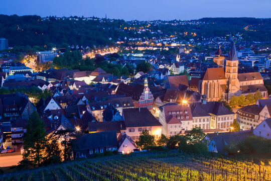 Germany, Baden-Wurttemberg, Esslingen am Neckar, View of cityscape and vineyard at dusk