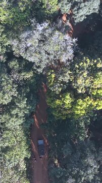 Vertical Aerial View of Forest Hills in Lambasingi, Andhra Pradesh, India