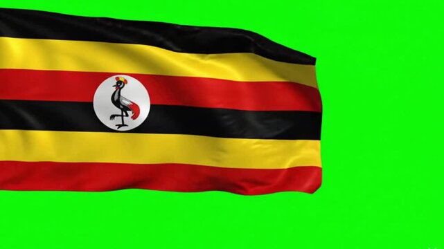 Uganda Flag Waving on Green Screen, Chroma Key Background