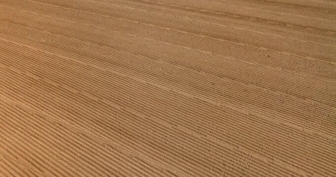 Close up aerial view of a golden agricultural field, showing smooth rows and subtle linear textures across the dry surface. Warm earthy tones create a rural landscape with a simple, natural pattern.