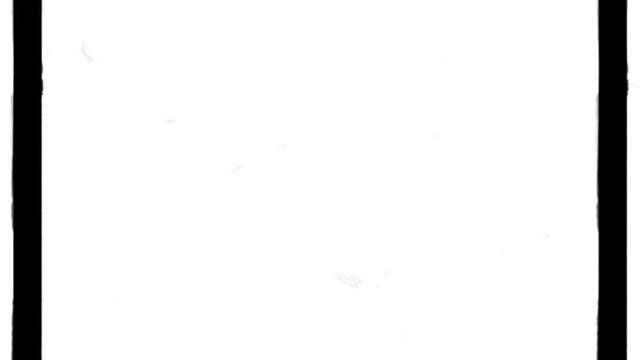 Film frame border features black vertical side margins with a white center area.