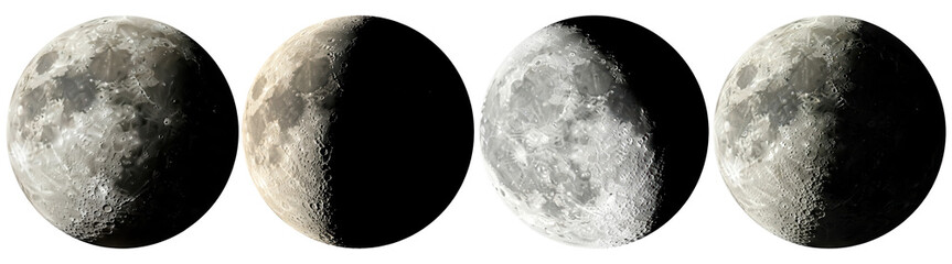 A stunning collection of the moon's phases, highlighting its diverse appearances in the night sky. © SihouetteEPS