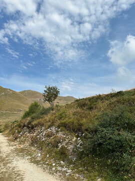 alpi liguri