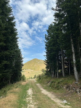 alpi liguri