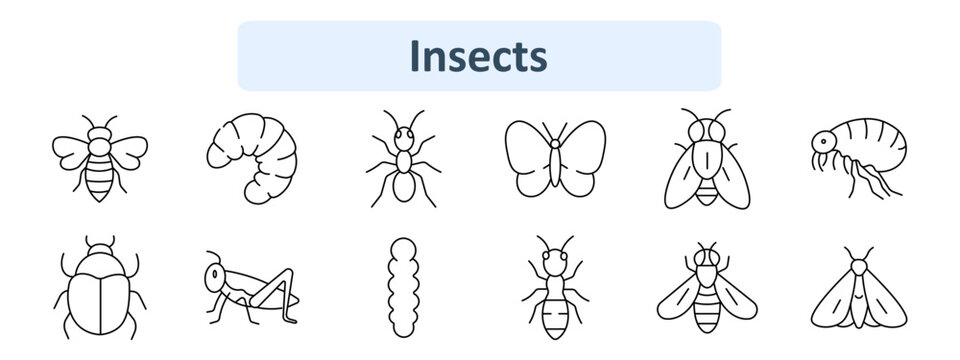 Insects set icon. Bee insect, caterpillar larva, ant insect, butterfly wings, fly, flea, beetle, grasshopper, larva form, ant, wasp, moth.