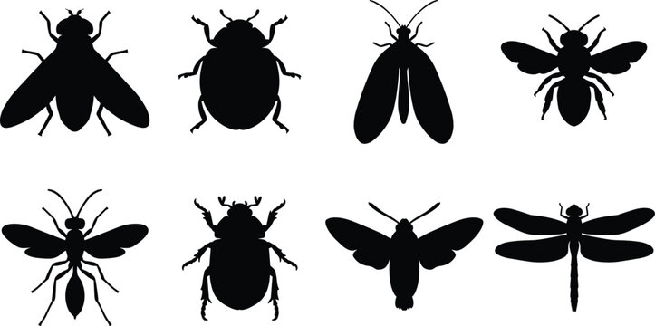 Set of insects and bugs vector icons featuring flies, beetles, bees, and dragonflies
