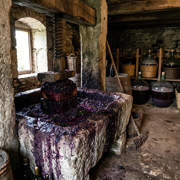 Traditional Wine Pressing in Rustic Stone Cellar with Grapes and Carboys