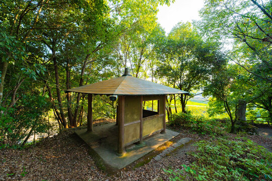 Petit pavillon en bois entour&eacute; d&rsquo;arbres dans un paysage verdoyant