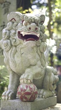 Stone shisa sculpture guardian lion statue with traditional ball decoration at japanese temple shrine entrance.