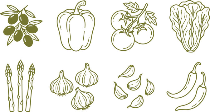 Hand drawn green line art fresh vegetables and salad ingredients doodle set featuring olives bell pepper tomatoes and asparagus