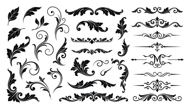 Floral scroll ornaments including acanthus leaves and swirl dividers for luxury branding.