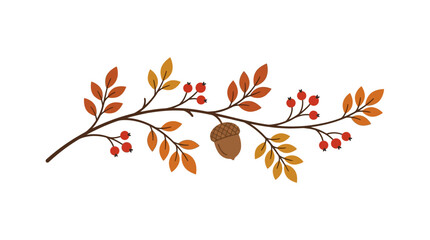 Autumn branch vector with orange leaves and red berries, fall foliage border, seasonal acorn illustration for greeting cards © shabana