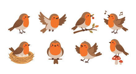 Fototapeta premium Set of cute little robin birds in different poses and actions for nature design projects Vector