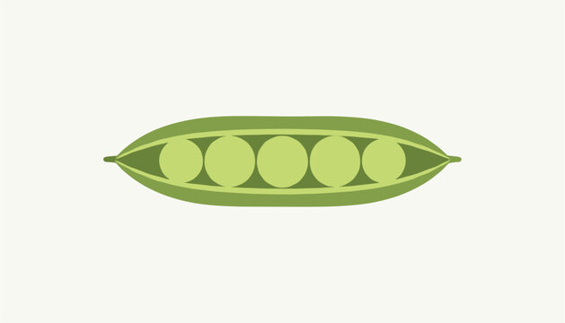 Open green pea pod showing five fresh round peas inside isolated on a clean light cream background vector art.