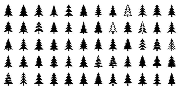 Forest trees set. Isolated vector silhouette. Coniferous forest. Christmas tree, fir-tree, pine, pine-tree, Scotch fir, cedar. A minimalist vector graphic illustration of a mountain landscape with pin