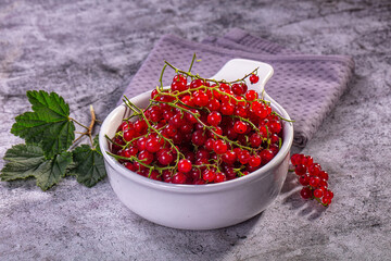 Fresh red currants in white ceramic bowl on textured gray surface with green leaves © Andrei Starostin