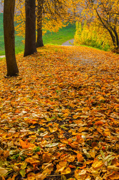 Autumn park alley landscape - vertical view of path densely covered with golden autumn leaves sloping down under yellow tree branches