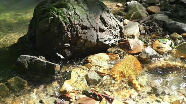 Sunlit Clear Stream Flowing Around Rocks in Refreshing Natural Scenery