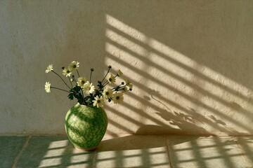 Fototapeta premium Green ceramic vase holding white daisies resting on tiled floor against textured wall with striped sunlight shadows