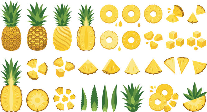 Fresh Pineapple Fruit Vector Element Set Featuring Whole Raw Ananas Half Cut Sections Round Rings Triangular Slices Diced Cubes and Green Spiky Leaves