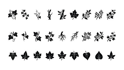 Fototapeta premium Ivy vine leaves branches and climbing plant silhouettes collection for nature design elements